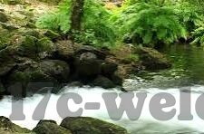 国产视频一区二区三区-国产视频的多元化探索，一区、二区、三区的独特魅力